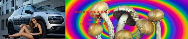 марки lsd Белоозёрский