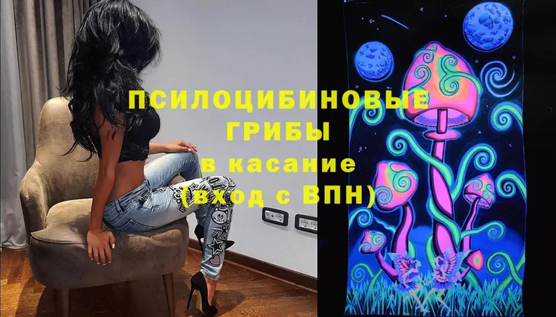 Псилоцибиновые грибы MAGIC MUSHROOMS  купить закладку  Ивдель 